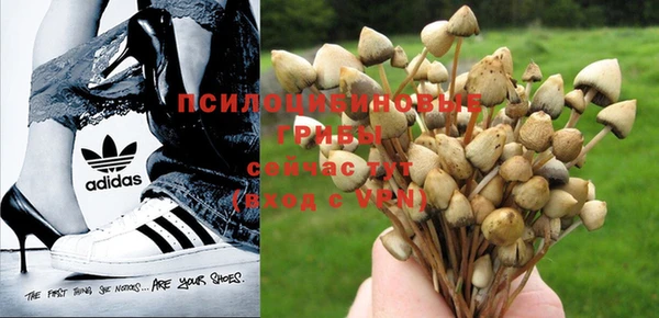 каннабис Заволжье