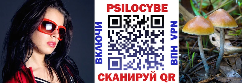 Галлюциногенные грибы мицелий  Купить  Константиновск 